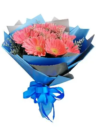 10 Fuchsia Pink Gerbera Korean Blue Silver