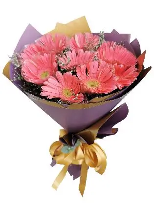 10 Fuchsia Pink Gerbera Korean Purple Gold