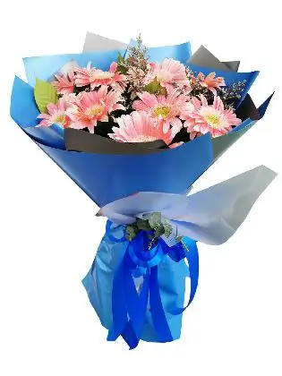 10 PINK Gerbera Korean Blue Silver