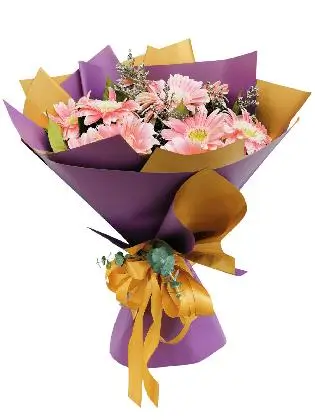 10 PINK Gerbera Korean Purple Gold