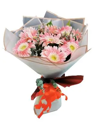 10 PINK Gerbera Korean White Maroon