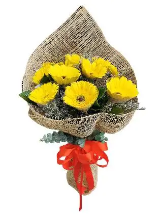 10 YELLOW Gerbera Burlap ph