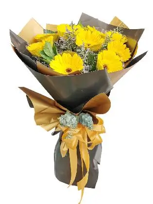 10 YELLOW Gerbera Korean Black Gold