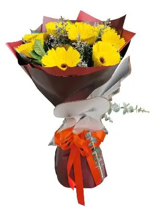 YELLOW Gerbera Korean Maroon-White