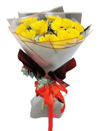 YELLOW Gerbera Korean White-Maroon