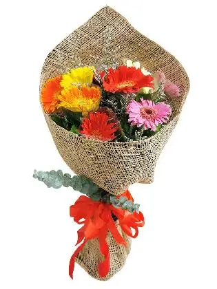 MIX Gerbera Burlap ph