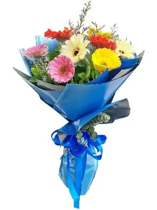 MIX Gerbera Korean Blue Silver