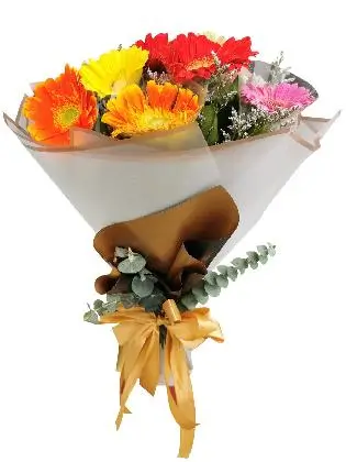 MIX Gerbera Korean White Gold