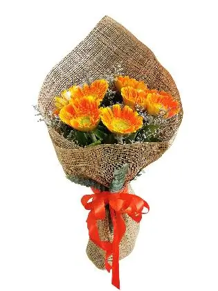 ORANGE Gerbera Burlap ph