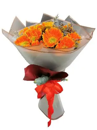 ORANGE Gerbera White Maroon