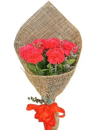 Carnation Fuchsia Pink Burlap ph