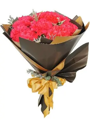 Carnation Fuchsia Pink Korean Black Gold