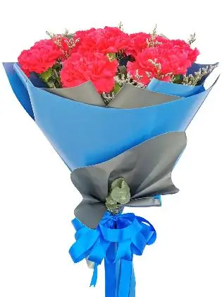 Carnation Fuchsia Pink Korean Blue Silver