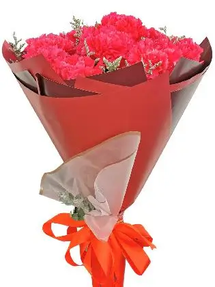 Carnation Fuchsia Pink Korean Maroon White