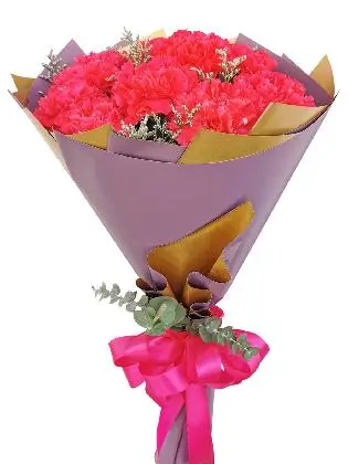 Carnation Fuchsia Pink Korean Purple Gold