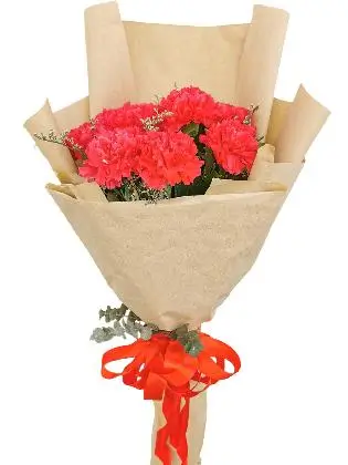 Carnation Fuchsia Pink Kraft Paper