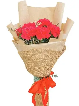Carnation Fuchsia Pink Kraft Jute