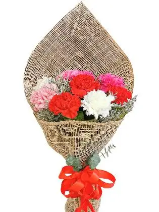 MIX Carnation Burlap ph
