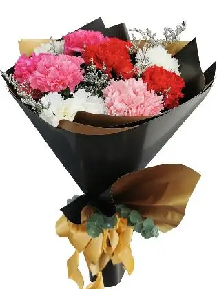 Carnation Korean Black Gold