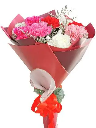 MIX Carnation Korean Maroon White