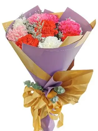 MIX Carnation Korean Purple Gold