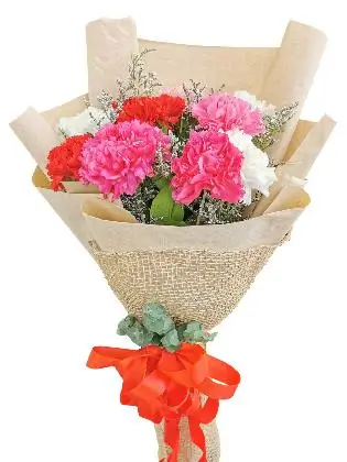 MIX Carnation Kraft Jute