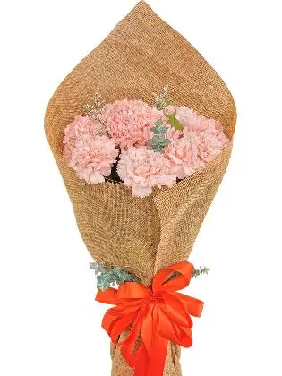 PINK Carnation Burlap ch