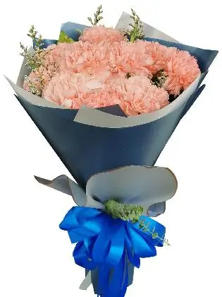 PINK Carnation Korean Blue Silver