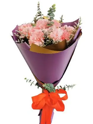 PINK Carnation Korean Purple Gold