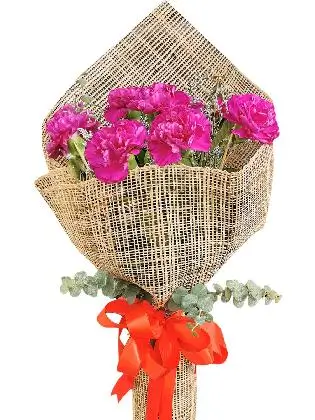 PURPLE Carnation Burlap ph