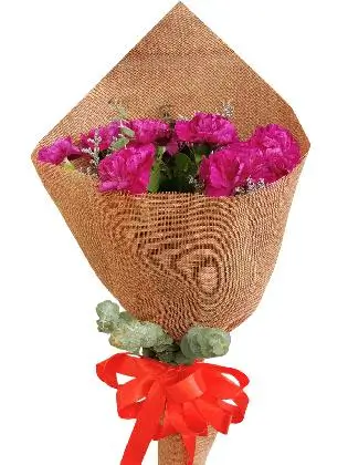 PURPLE Carnation Burlap ch