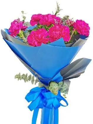 PURPLE Carnation Korean Blue Silver