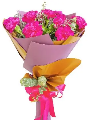 PURPLE Carnation Korean Purple Gold