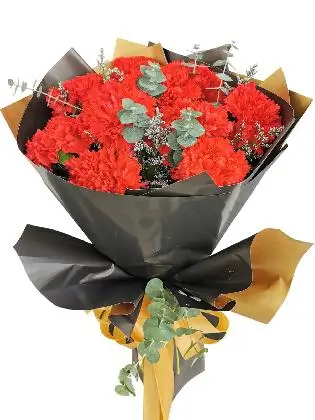 RED Carnation Korean Black Gold
