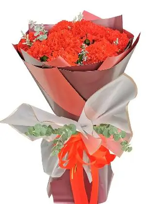 RED Carnation Korean Maroon White