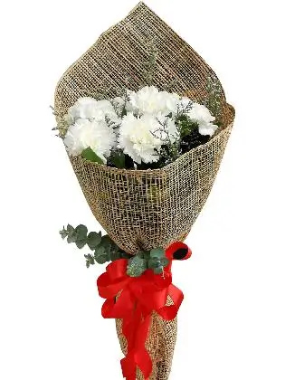 WHITE Carnation Burlap ph