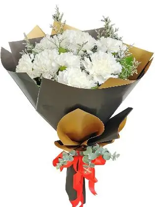 WHITE Carnation Korean Black Gold