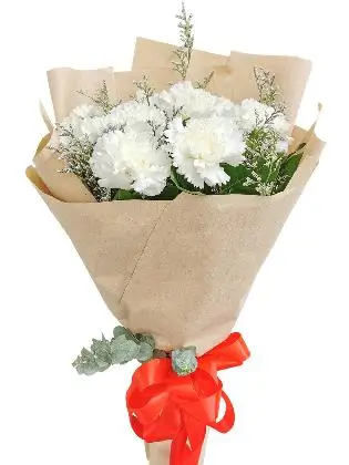 WHITE Carnation Kraft Paper
