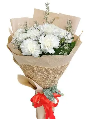 WHITE Carnation Kraft Jute