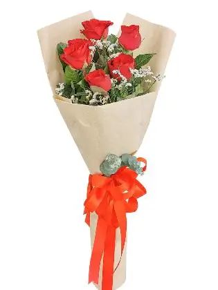 Red Roses 6 Kraft