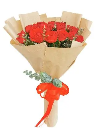 Red Roses 24 Kraft