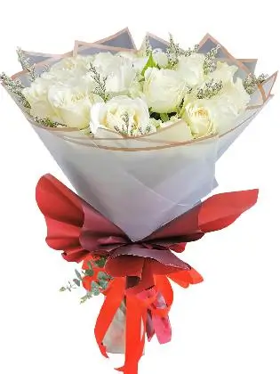 White Rose 24/36 White/ Maroon
