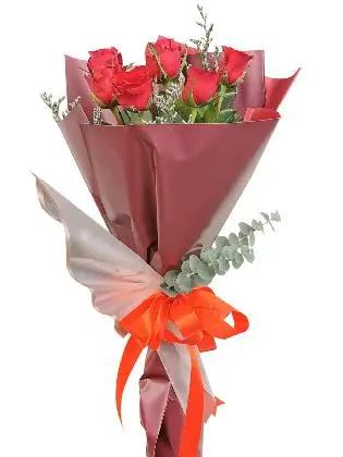 Red Roses 6 Korean Maroon White