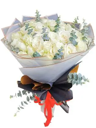 290 White Rose 36 BG