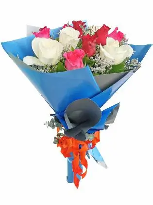 Mix Rose Blue Silver 12/24