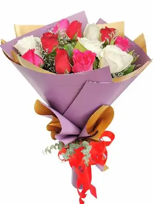 Mix Rose Purple Gold 12/24