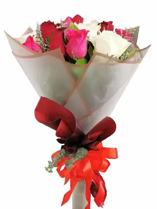 Mix Rose White Maroon 12/24