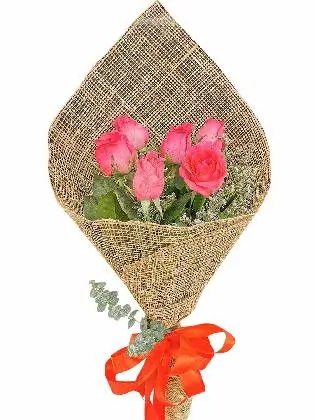 Pink Roses 6 Burlap PH