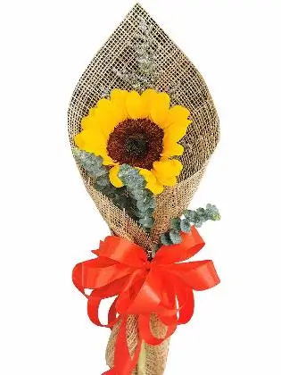 Sunflower Burlap ph 1/3