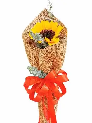 Sunflower Burlap ch 1/3